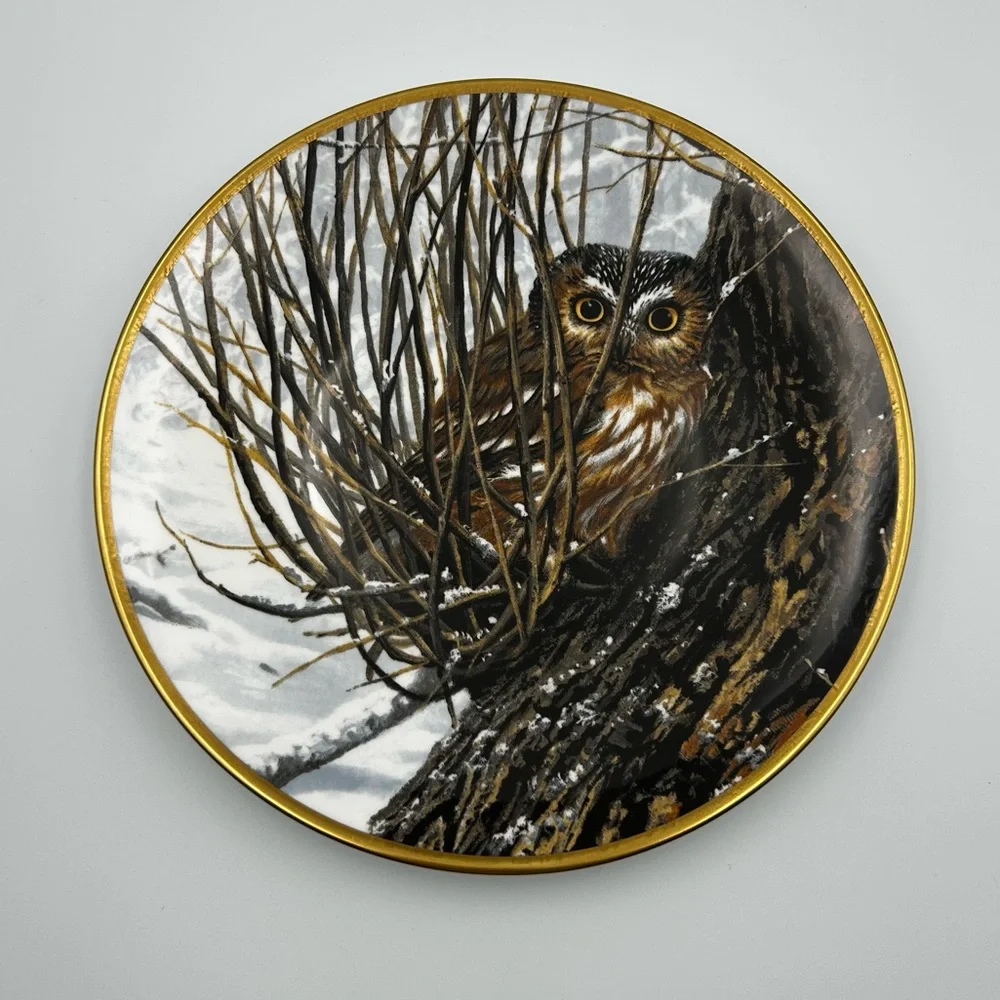 Spode Noble Owls of America Seerey-Lester Saw-whet Owl Art Decorative Plate LE